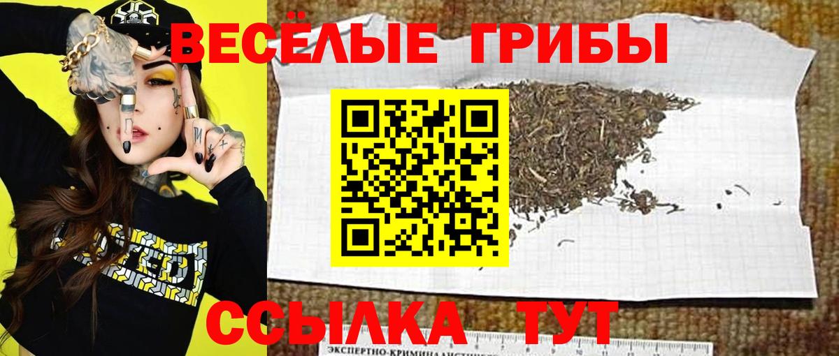 Галлюциногенные грибы прущие грибы Нягань