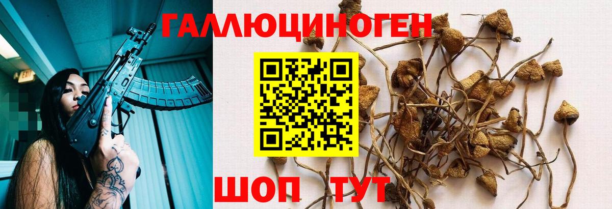 Псилоцибиновые грибы Psilocybine cubensis  Вход с VPN  Нягань 